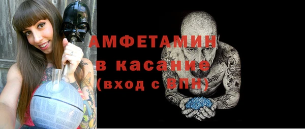 шишки Белоозёрский