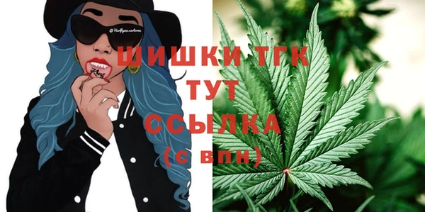 шишки Белоозёрский