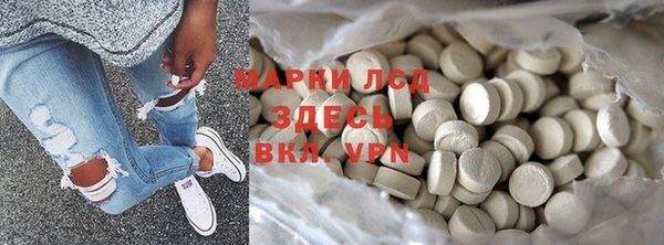 шишки Белоозёрский