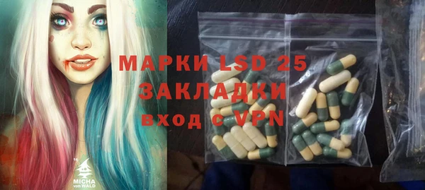 шишки Белоозёрский