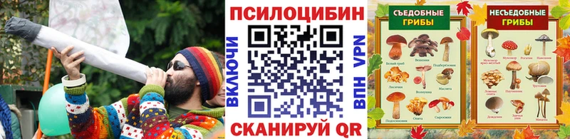 Галлюциногенные грибы Psilocybine cubensis Нестеровская